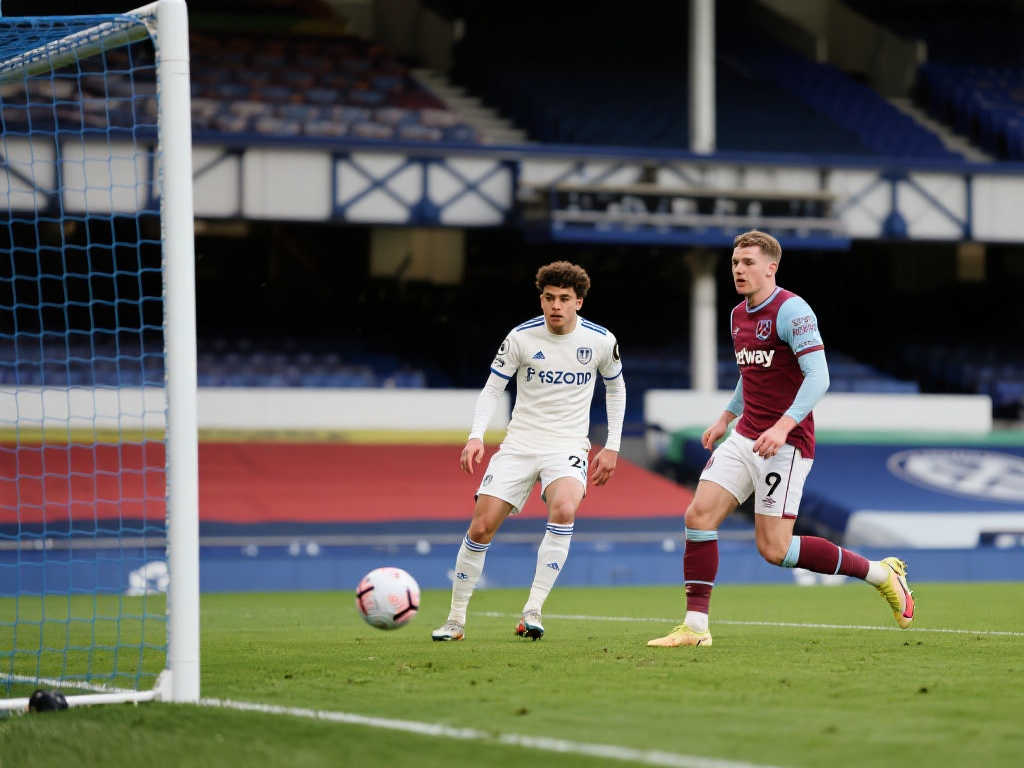 鵜鶘全队三 鵜鶘全队三