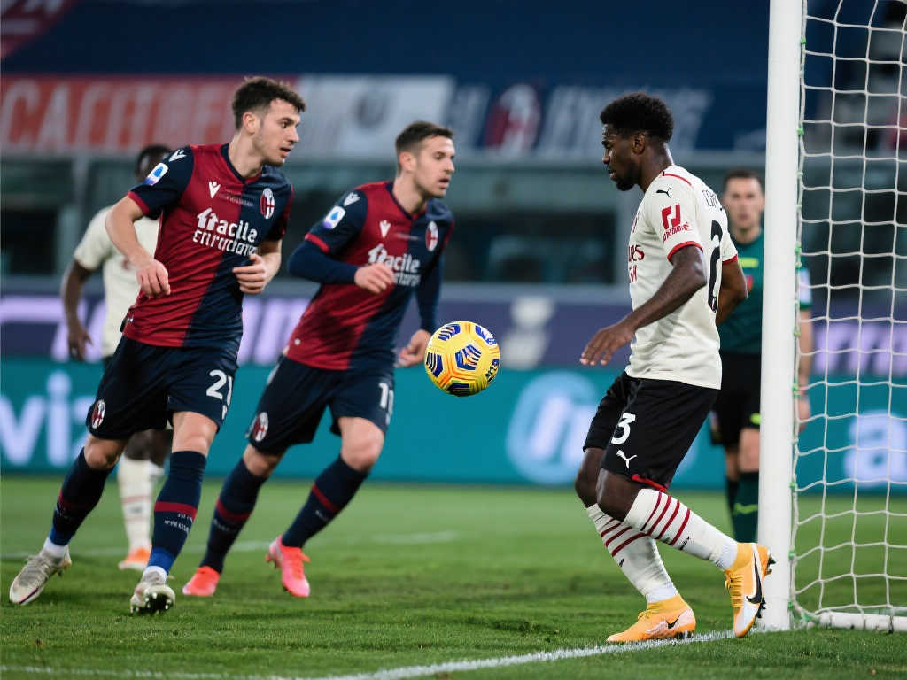 实了自己的 实了自己的